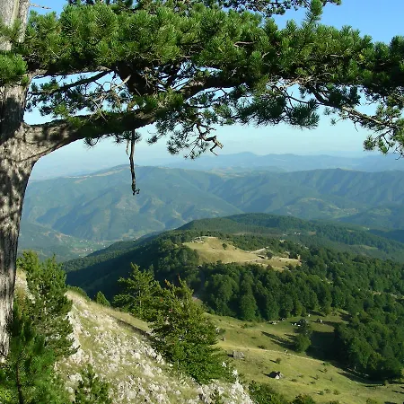 Konaciste Osmica Motel *